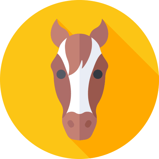 Horses For Loan