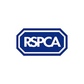 RSPCA Equine