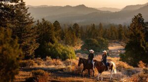 horse riding 