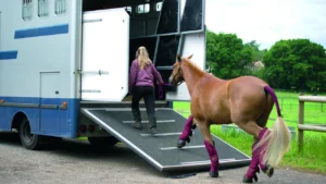 Equestrian Passport Rules 