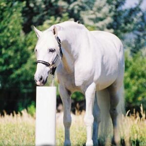 Non-Electric Waterers 