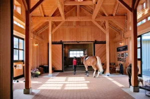 sell your horse