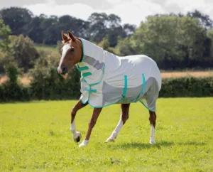 Protect Against Flies and Sun 