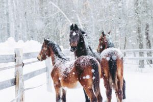 Safety and Reliability in UK Conditions 