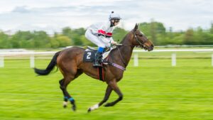Are Ex-Racers Right for You
