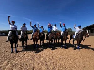 Caring for Your Ex-Polo Pony