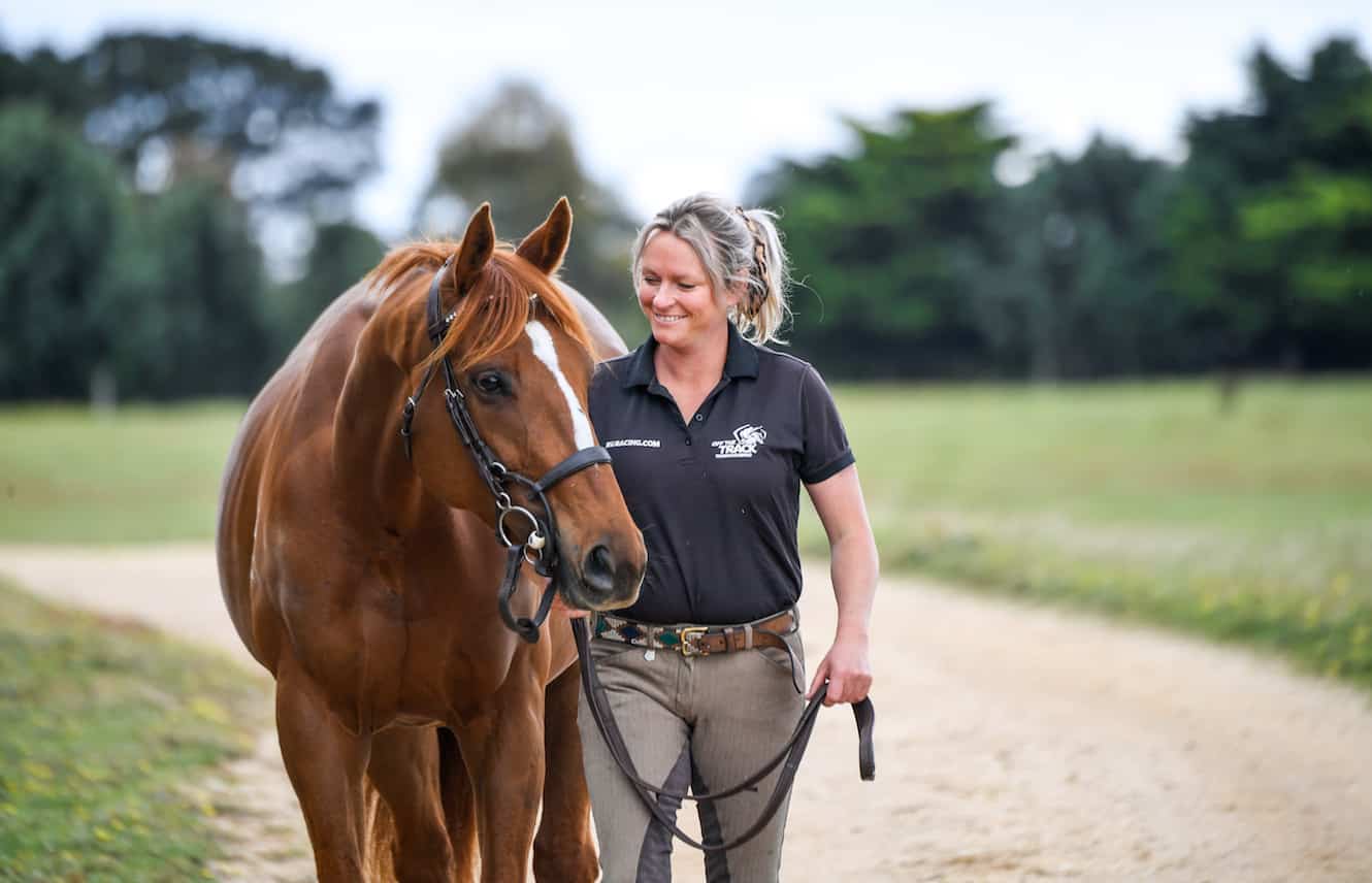 Retired Racehorses Near Newbury Looking for a Second Chance
