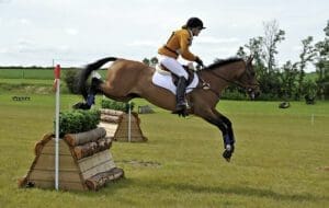 Perfect for the “Health considerations as they age” section