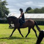 5-year-old 16hh Thoroughbred gelding, calm and safe, hacking alone with rider.